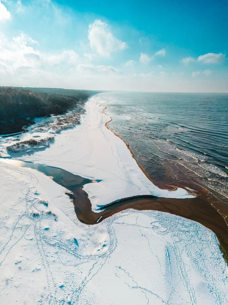 Kış mevsiminde çam ormanı kıyısındaki güzel Baltık deniz manzarası, kış manzarası