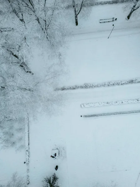 Snow Covered Trees City Park Winter Season Road Traffic City — Stock fotografie
