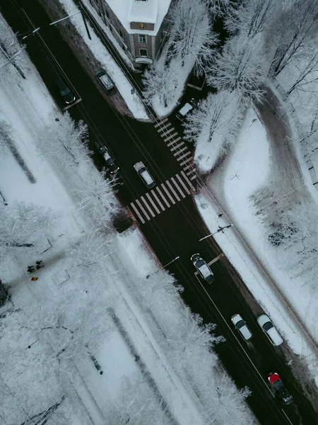 Snow Covered Trees City Winter Season Road Traffic City Park — Fotografia de Stock
