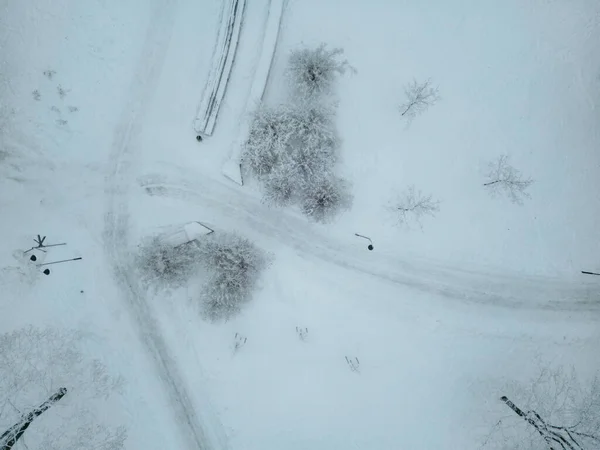 Snow Covered Trees City Park Winter Season Road Traffic City — Stock fotografie