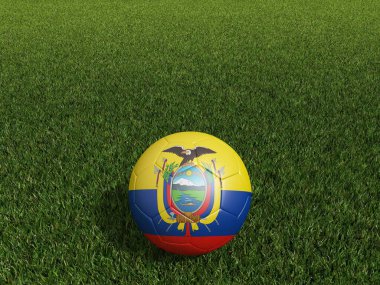 Ekvador 'da yeşil çimlerin üzerinde futbol bayrağı. 3d oluşturma