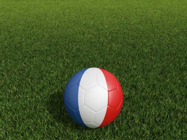 Fransa 'da futbol yeşil çimlerin üzerinde bayrak sallıyor. 3d oluşturma