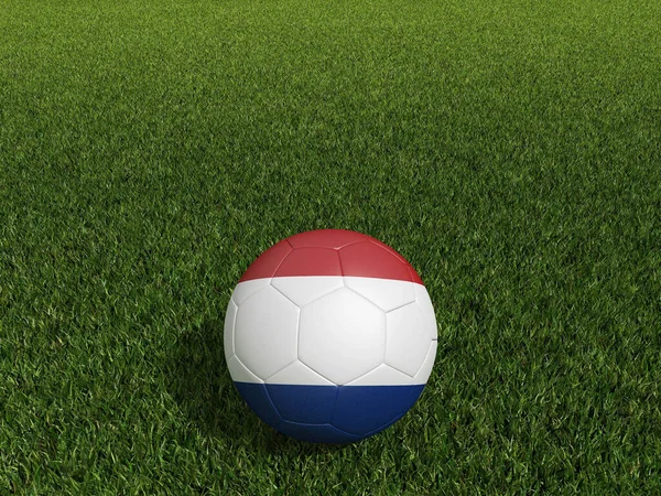 荷兰足球的旗帜挂在绿草上 3D渲染 — 图库照片