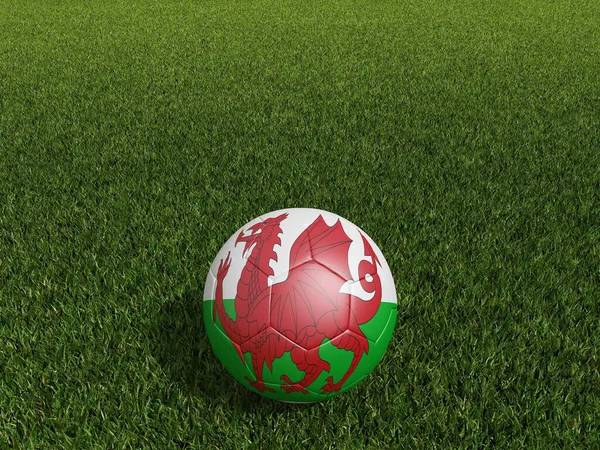 Fußball Wales Flagge Auf Grünem Rasen Darstellung — Stockfoto