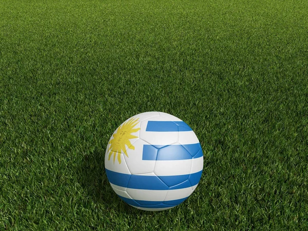 우루과이의 축구는 잔디에 깃발을 그린다 렌더링 — 스톡 사진