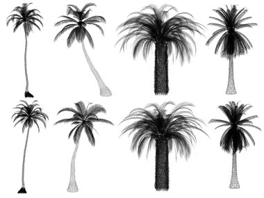 Beyaz arka planda ağaçlar. 3d kablo çerçevesi hazırlanıyor