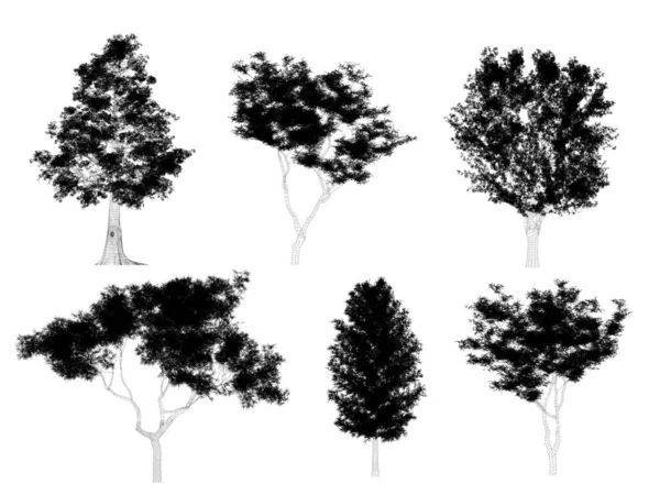Набор Деревьев Белом Фоне Трехмерный Кадр — стоковое фото