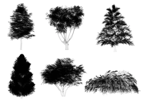 Set Bomen Witte Achtergrond Rendering Draad Frame — Stockfoto
