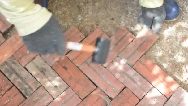 Worker Laying Red Brick Pathway House — Stock Video
