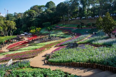 CHIANG RAI, THAILAND 23 Aralık 2023: Mae Fah Luang Garden, Chiang Rai, Tayland. 