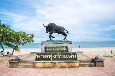 Chumphon, Thailand - October 5, 2024: The large black muscle bull monument decorating at Thung Wua Laen Beach, one of the famous relax holiday attraction vacation place in Chumphon, Thailand. clipart