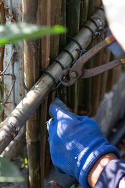 İşçi, zincirli tel örgüyü örtmek için alüminyum tel ile birbirine bağlanmış bambu duvar panelleri kurar.