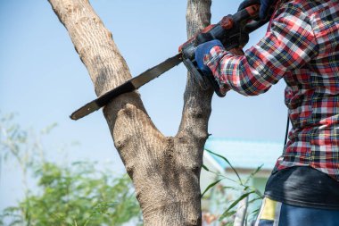 Adam ağacı kesmek için elektrikli testere kullanıyor. Ağaç kesen adam. 