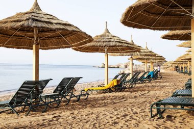 Tropikal bir sahilde sazdan şemsiyeler ve güneş panzeleri.