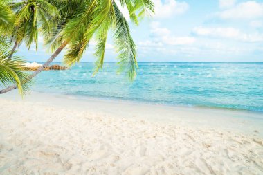 Seascape with palm tree, tropical beach background. blur bokeh light of calm sea and sky. summer vacation background concept.	