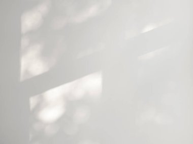 Pencere beyaz duvardaki doğal gölge