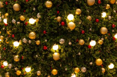 Noel ağacı. Ampul ve altın noel baloları Noel ağacını süslüyor. Mutlu Noeller ve yeni yıl tatili geçmişi.