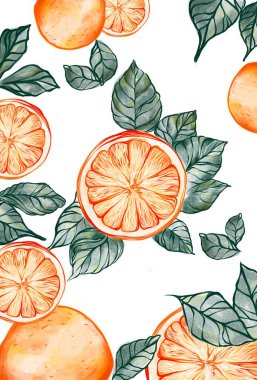 Yaprak süslemeli portakallar. Yüksek kaliteli illüstrasyon