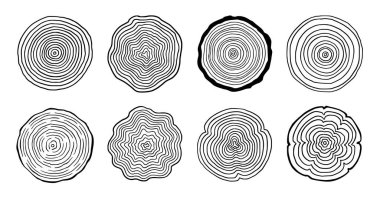 Tree ring wood circle set. Hand drawn tree ring pattern, line ripple circle wood texture. Wood organic slice line design. Vector illustration.