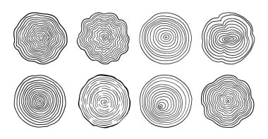 Tree ring wood circle set. Hand drawn tree ring pattern, line ripple circle wood texture. Wood organic slice line design. Vector illustration.