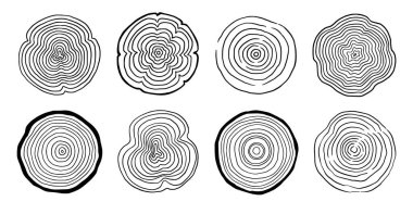 Tree ring wood circle set. Hand drawn tree ring pattern, line ripple circle wood texture. Wood organic slice line design. Vector illustration.