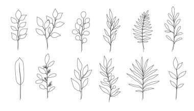 Outline boho tree, eucalyptus leaf set. One continuous line art decorative plant leaves. Editable stroke eucalyptus, fern, salal, olive foliage floral element. Isolated vector illustration