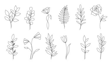 Flower, floral leaf one line art. One continuous line art leaf, flower minimal design. Editable stroke eucalyptus branch, rose, poppy foliage floral element. Isolated vector illustration