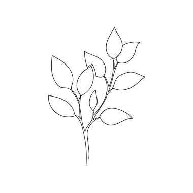 Outline plant eucalyptus leaf. One continuous line art decorative plant leaf. Editable stroke eucalyptus foliage floral element. Isolated vector illustration