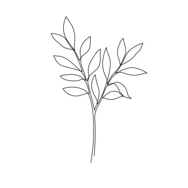 Outline plant eucalyptus leaf. One continuous line art decorative plant leaf. Editable stroke eucalyptus foliage floral element. Isolated vector illustration