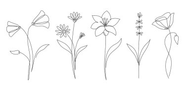 Flower set continuous outline style. Decoration flower, botanical floral element, blossom one line art for wedding, spring concept background. Vector illustration