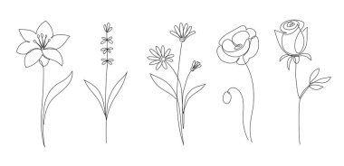 Flower set continuous outline style. Decoration flower, botanical floral element, blossom one line art for wedding, spring concept background. Vector illustration