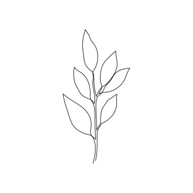 Outline plant eucalyptus leaf. One continuous line art decorative plant leaf. Editable stroke eucalyptus foliage floral element. Isolated vector illustration