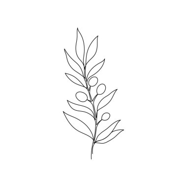 Line olive leaf branch art. One continuous line art decorative olive leaf draw. Editable stroke single branch element. Isolated vector illustration