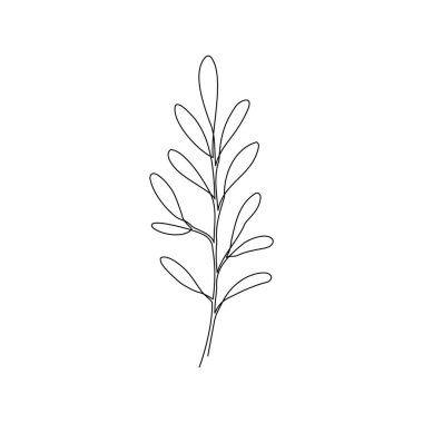 Outline plant eucalyptus leaf. One continuous line art decorative plant leaf. Editable stroke eucalyptus foliage floral element. Isolated vector illustration