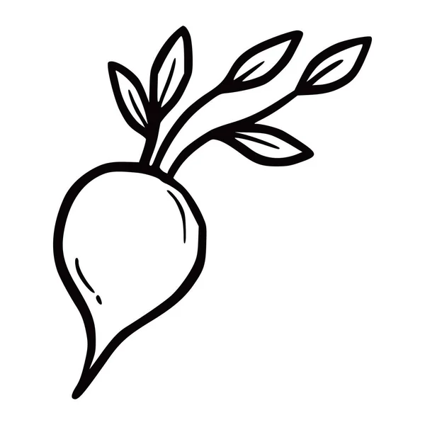 Handgezogenes Rübengemüse Doodle Sketch Stil Zeichnungslinie Einfaches Rübensymbol Isolierte Vektorillustration — Stockvektor