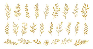 Altın yaprak elementi ayarlandı. El çizimi karalama altın yapraklar çiçek unsuru düğün arka planı, zarif tasarım. Vektör illüstrasyonu.