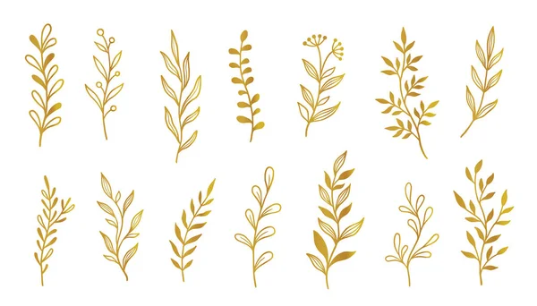 Złoty Zestaw Elementów Liści Gałęzi Ręcznie Rysowany Szkic Doodle Złote — Wektor stockowy