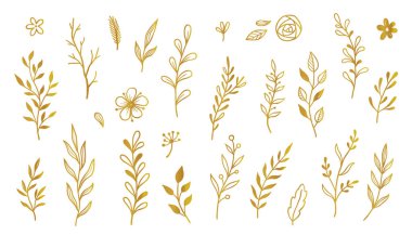 Altın yaprak elementi ayarlandı. El çizimi karalama altın yapraklar çiçek unsuru düğün arka planı, zarif tasarım. Vektör illüstrasyonu.