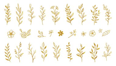 Altın yaprak elementi ayarlandı. El çizimi karalama altın yapraklar çiçek unsuru düğün arka planı, zarif tasarım. Vektör illüstrasyonu.