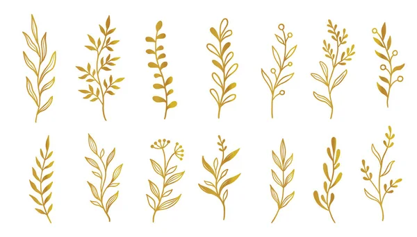 Złoty Zestaw Elementów Liści Gałęzi Ręcznie Rysowany Szkic Doodle Złote — Wektor stockowy