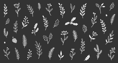 Noel yaprağı, çiçek bağcıkları. El çizimi karalama, Holly Çiçeği, Xmas ağacı yaprakları, kış dalları. Tatil dekorasyonu, çiçek çelengi karalama. Vektör