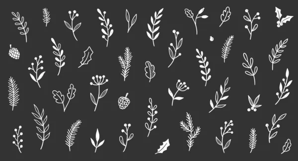 Świąteczny Liść Rośliny Zestaw Kwiatowy Ręcznie Rysowane Doodle Szkic Holly — Wektor stockowy