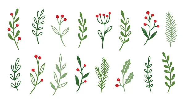 Świąteczny Liść Rośliny Zestaw Kwiatowy Ręcznie Rysowane Doodle Szkic Holly — Wektor stockowy