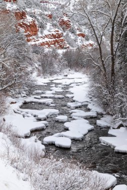 Basalt ve Aspen Colorado yakınlarındaki Frying Pan Nehri boyunca kayaları ve ağaçları kaplayan yeni yağmış kar. Dikey yönelim