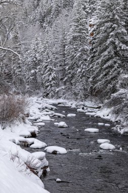 Bazalt ve Aspen Colorado yakınlarında yeni yağan karın ardından akan Frying Pan Nehri boyunca soğuk kış sahnesi.