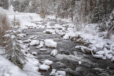 Frying Pan nehri boyunca çok güzel bir kış manzarası var. Kayalar ve ağaçlar üzerinde taze kar yağıyor. Basalt ve Aspen Colorado yakınlarında.