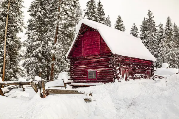 stock image Snowy winter scene with freshly fallen and falling snow with abandoned red barn in snow covered forest