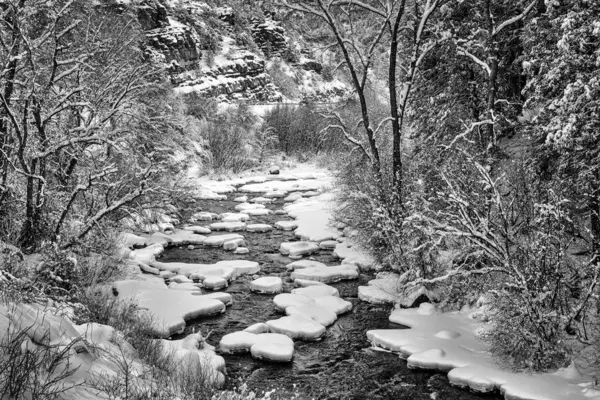 Scena Iarnă Lungul Râului Frying Pan După Zăpadă Proaspăt Căzută Imagini stoc fără drepturi de autor