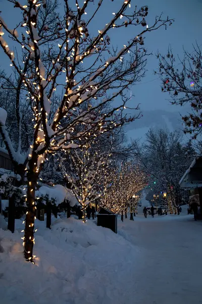 Escena Nocturna Invierno Aspen Colorado Después Nieve Recién Caída Árboles Imágenes de stock libres de derechos