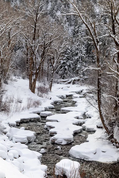 Scena Iarnă Lungul Râului Curge După Zăpadă Proaspăt Căzută Acoperind Imagine de stoc